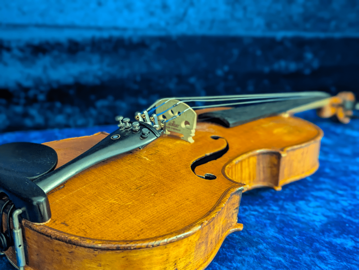 Strings | Musical Instrument City